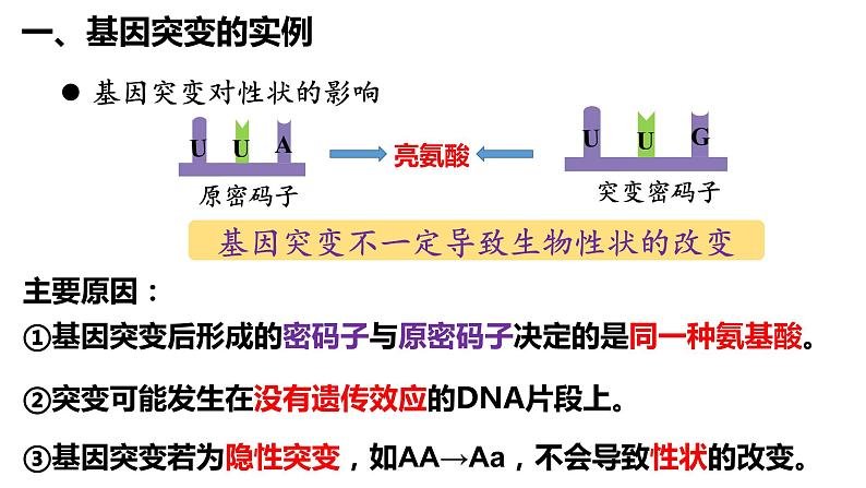 5.1基因突变和基因重组课件-2021-2022学年高一下学期生物人教版（2019）必修2第7页