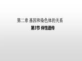 2.3伴性遗传课件2021-2022学年高一下学期生物人教版必修2