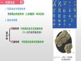 2.3伴性遗传课件2021-2022学年高一下学期生物人教版必修2