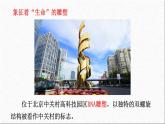 3.2DNA的结构课件-2021-2022学年高一下学期生物人教版（2019）必修2