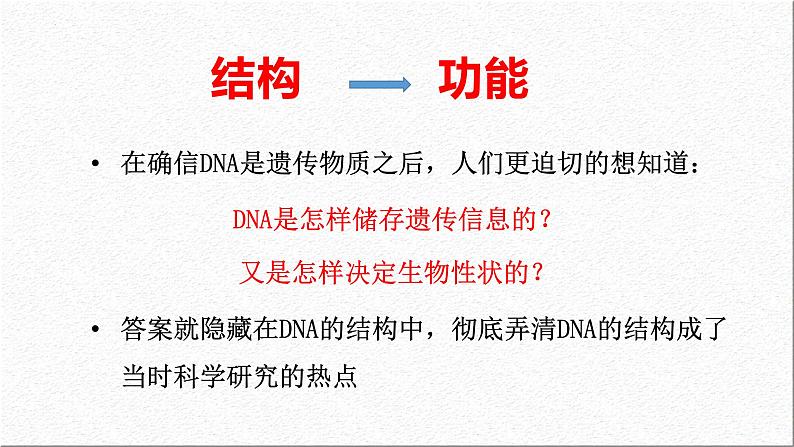 3.2DNA的结构课件-2021-2022学年高一下学期生物人教版（2019）必修2第3页