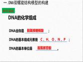 3.2DNA的结构课件-2021-2022学年高一下学期生物人教版（2019）必修2