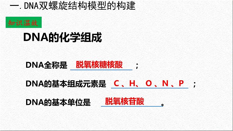 3.2DNA的结构课件-2021-2022学年高一下学期生物人教版（2019）必修2第5页