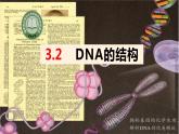 3.2DNA的结构课件2021-2022学年高一下学期生物人教版必修2