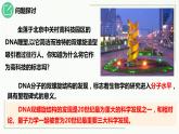3.2DNA的结构课件2021-2022学年高一下学期生物人教版必修2
