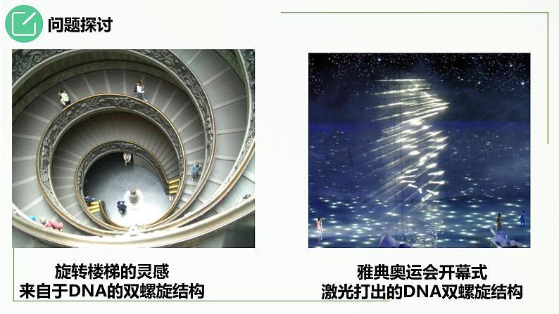 3.2DNA的结构课件2021-2022学年高一下学期生物人教版必修2第4页