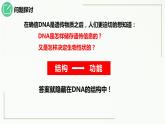 3.2DNA的结构课件2021-2022学年高一下学期生物人教版必修2