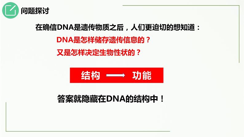 3.2DNA的结构课件2021-2022学年高一下学期生物人教版必修2第5页