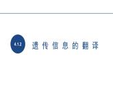 4.1.2基因指导蛋白质的合成课件2021-2022学年高一下学期生物人教版必修2