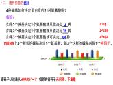 4.1.2基因指导蛋白质的合成课件2021-2022学年高一下学期生物人教版必修2