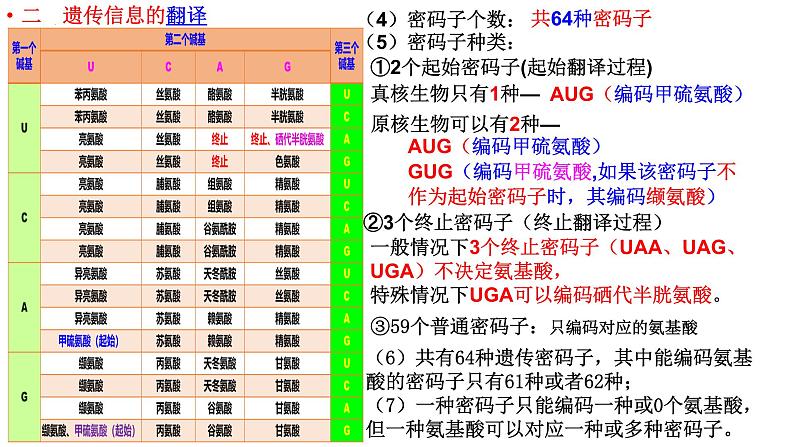 4.1.2基因指导蛋白质的合成课件2021-2022学年高一下学期生物人教版必修2第5页