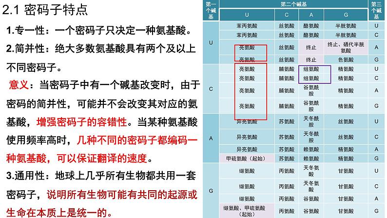 4.1.2基因指导蛋白质的合成课件2021-2022学年高一下学期生物人教版必修2第7页