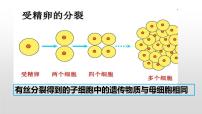 生物第3节 DNA的复制课文内容课件ppt