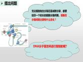 3.3DNA的复制课件2021-2022学年高一下学期生物人教版必修2