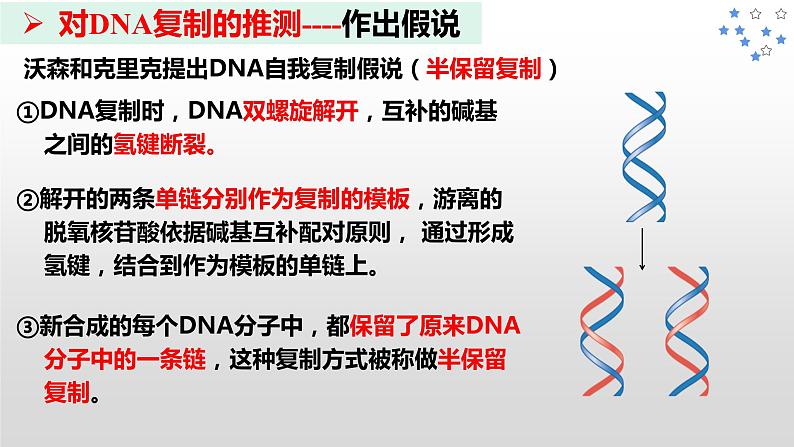 3.3DNA的复制课件2021-2022学年高一下学期生物人教版必修205