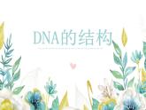 3.2DNA的结构课件-2021-2022学年高一下学期生物人教版（2019）必修2 (1)