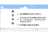 3.2DNA的结构课件-2021-2022学年高一下学期生物人教版（2019）必修2 (1)