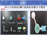 3.2DNA的结构课件-2021-2022学年高一下学期生物人教版（2019）必修2 (1)