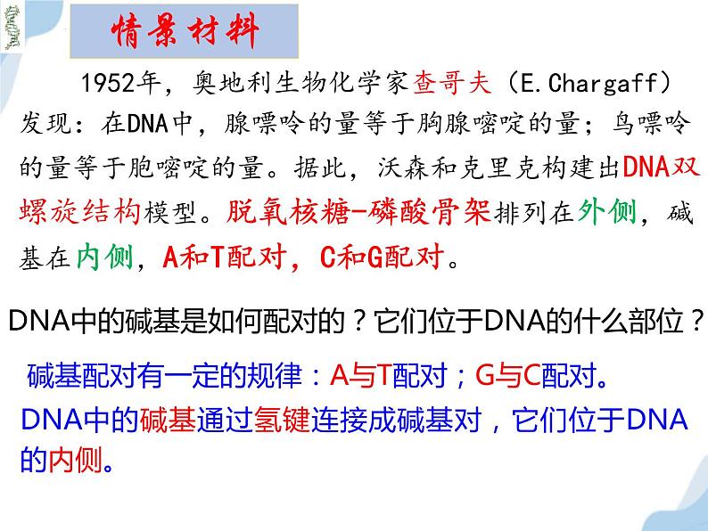 3.2DNA的结构课件-2021-2022学年高一下学期生物人教版（2019）必修2 (1)第7页