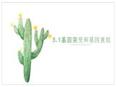 5.1基因突变和基因重组课件2021-2022学年高一下学期生物人教版必修2