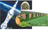 5.1基因突变和基因重组课件2021-2022学年高一下学期生物人教版必修2