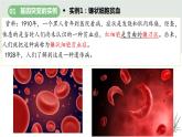 5.1基因突变和基因重组课件2021-2022学年高一下学期生物人教版必修2