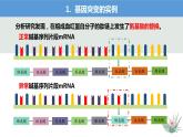 5.1基因突变和基因重组课件2021-2022学年高一下学期生物人教版必修2
