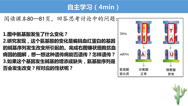 5.1基因突变和基因重组课件2021-2022学年高一下学期生物人教版必修2第6页