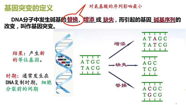 5.1基因突变和基因重组课件2021-2022学年高一下学期生物人教版必修2第7页