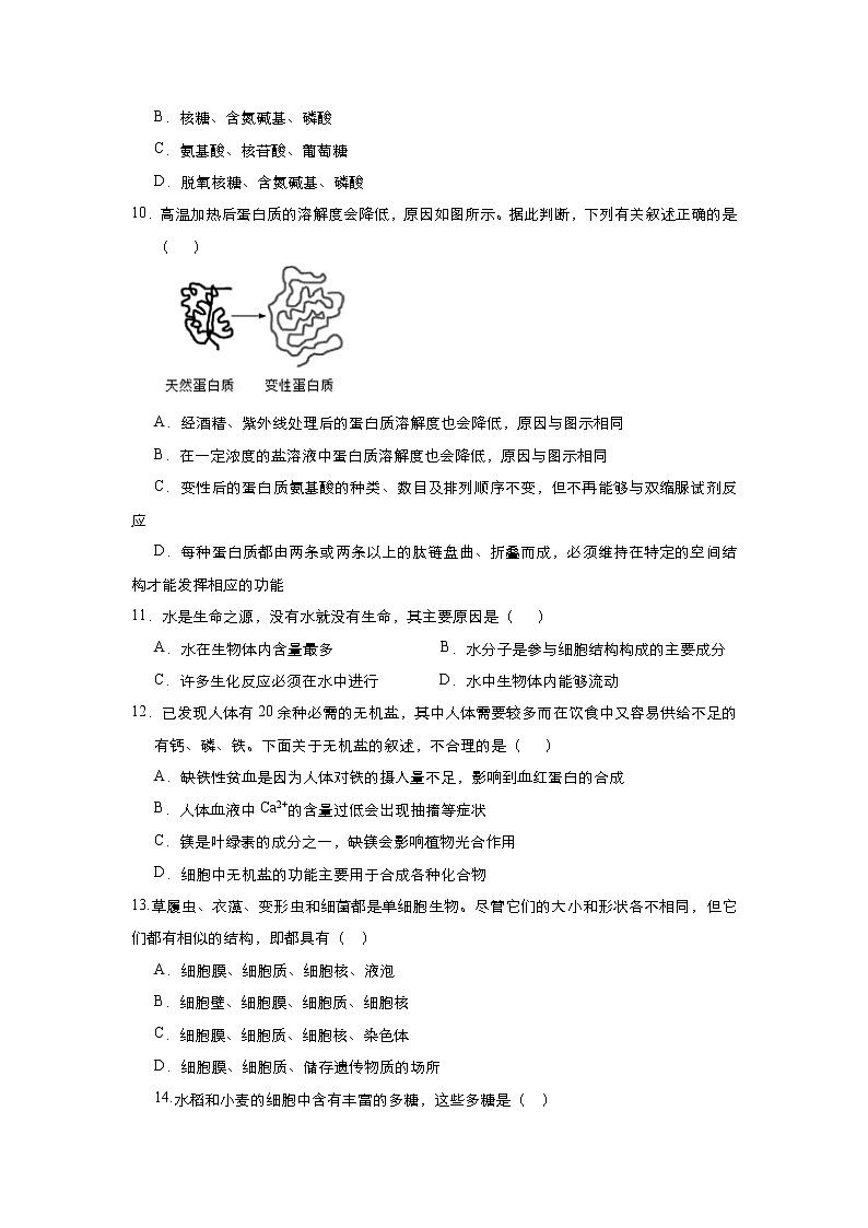 2022沈阳第八十三中学高一上学期期初考试生物试题含答案第3页