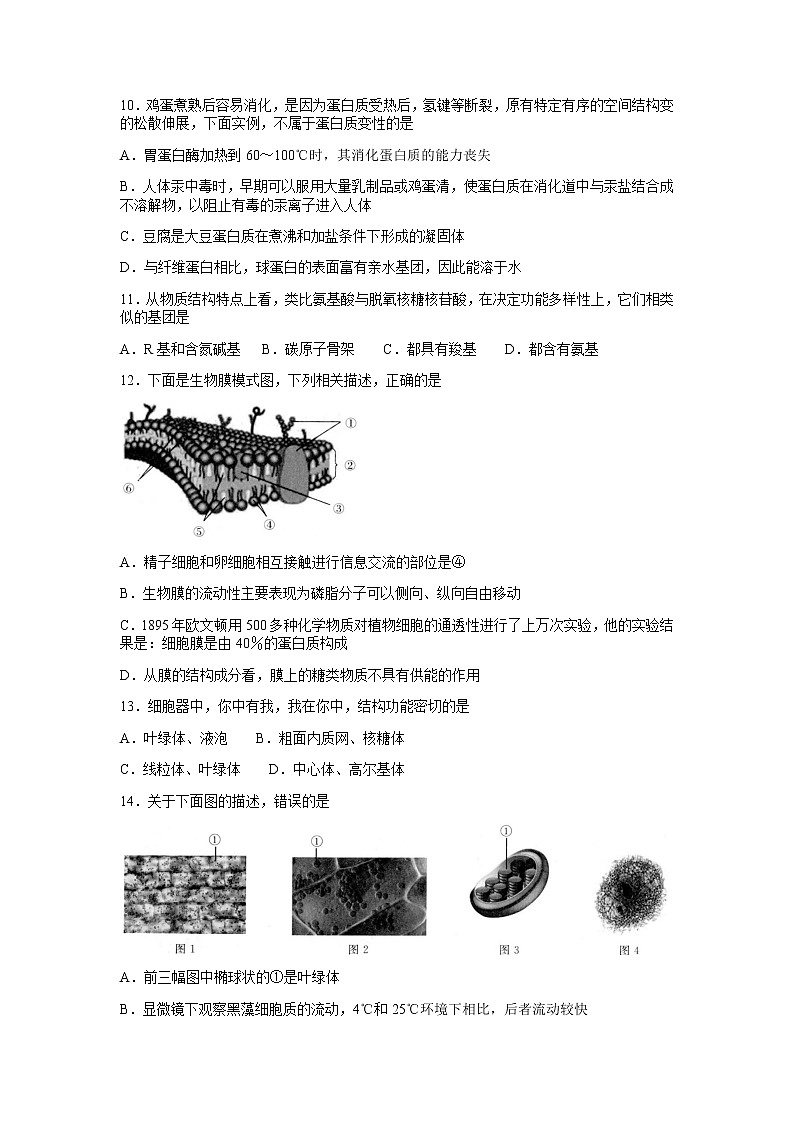 2021张家口高一上学期期末生物试题含答案03