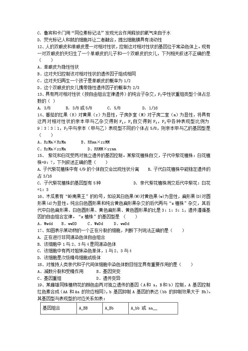 2021湖南省邵东县三中高一下学期第一次月考生物试题含答案第2页