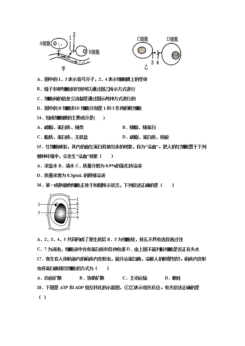 2022湖南省邵东县三中高一上学期合格考检测生物试题含答案03