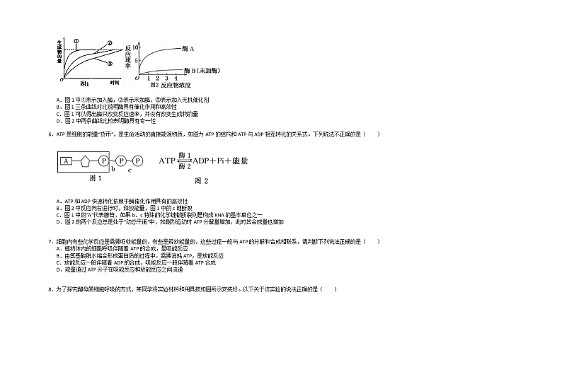 2021重庆市第二十九中学高一下学期期中考试生物试题含答案第2页