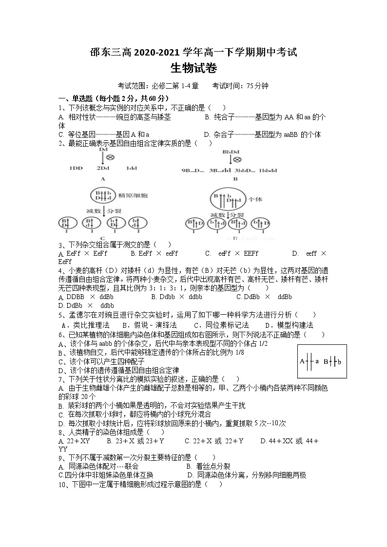 2021湖南省邵东县三中高一下学期期中考试生物试题含答案01