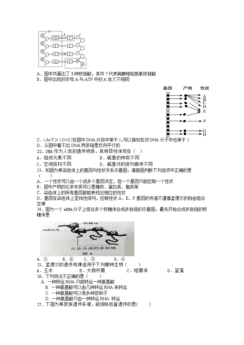 2021湖南省邵东县三中高一下学期期中考试生物试题含答案03
