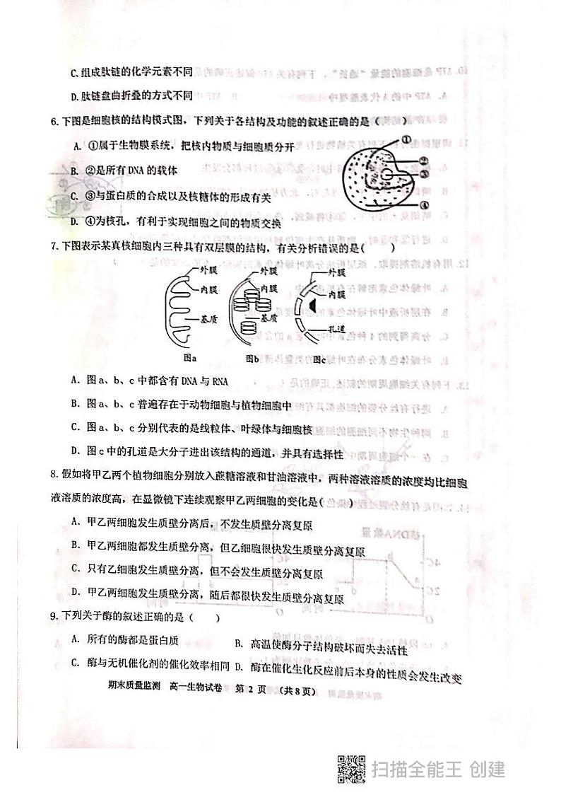 2021天津东丽区高一下学期期末考试生物试题图片版含答案02