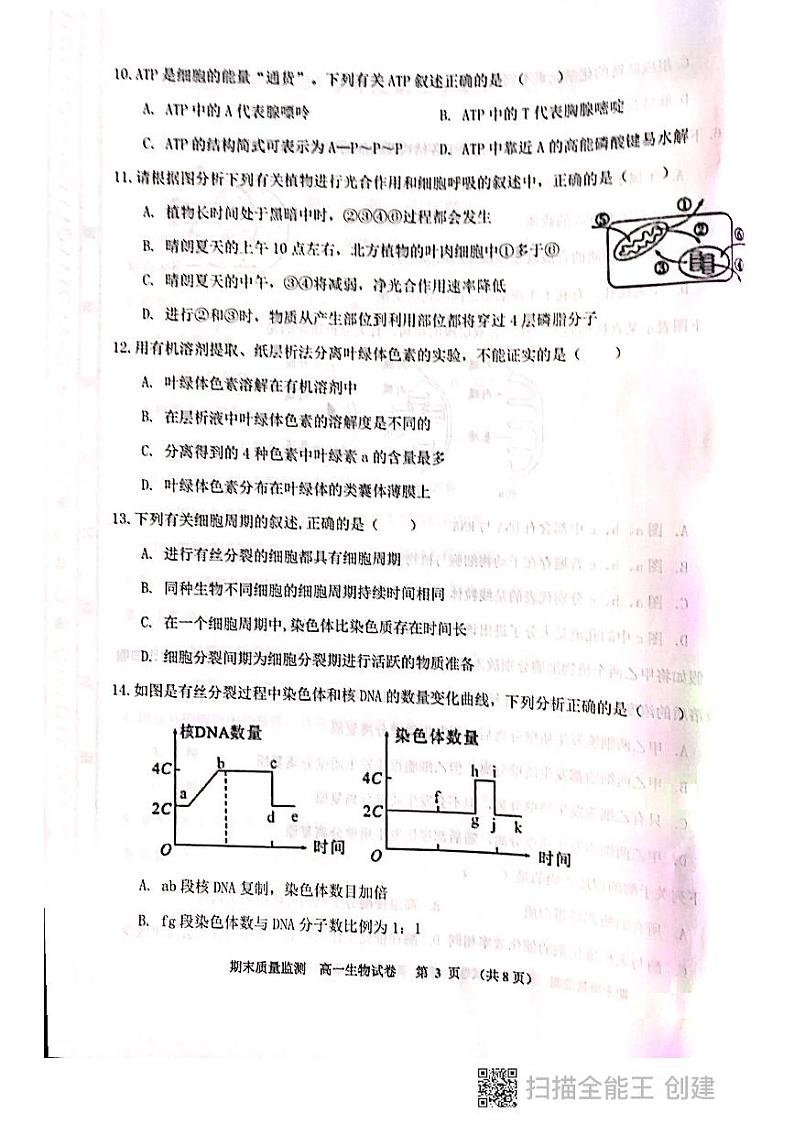 2021天津东丽区高一下学期期末考试生物试题图片版含答案03