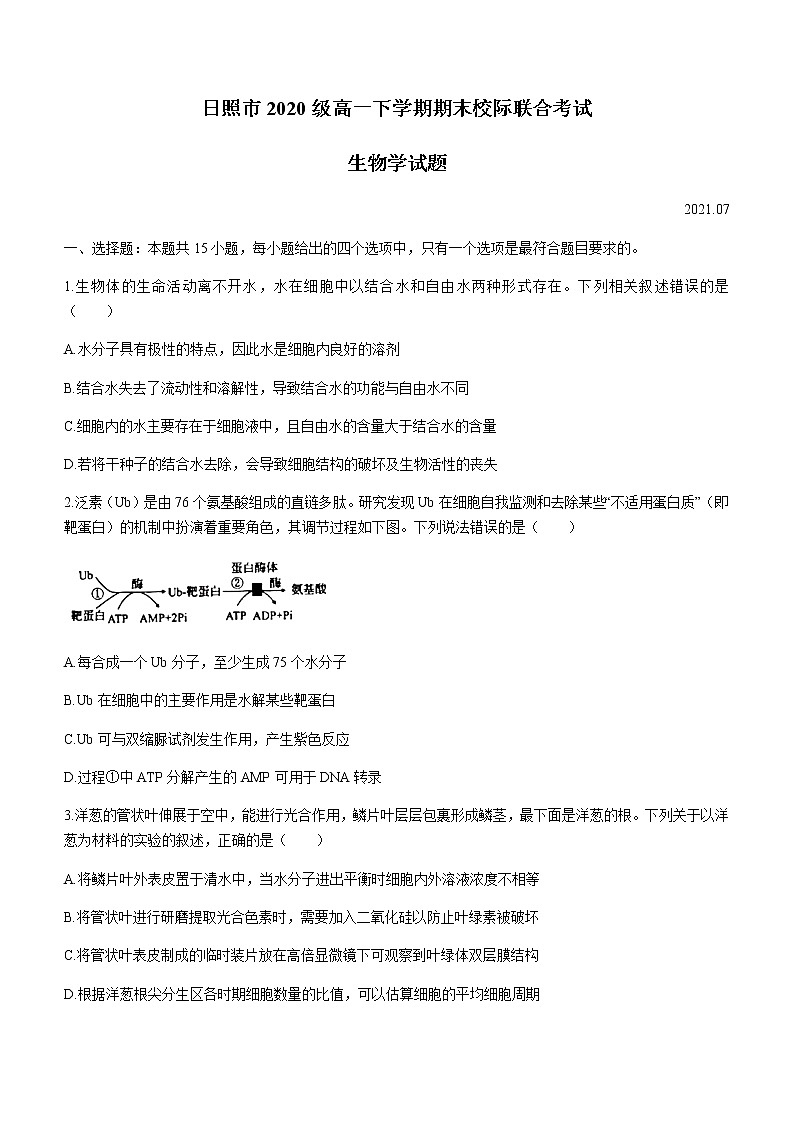 2021日照高一下学期期末校际联合考试生物试题含答案01