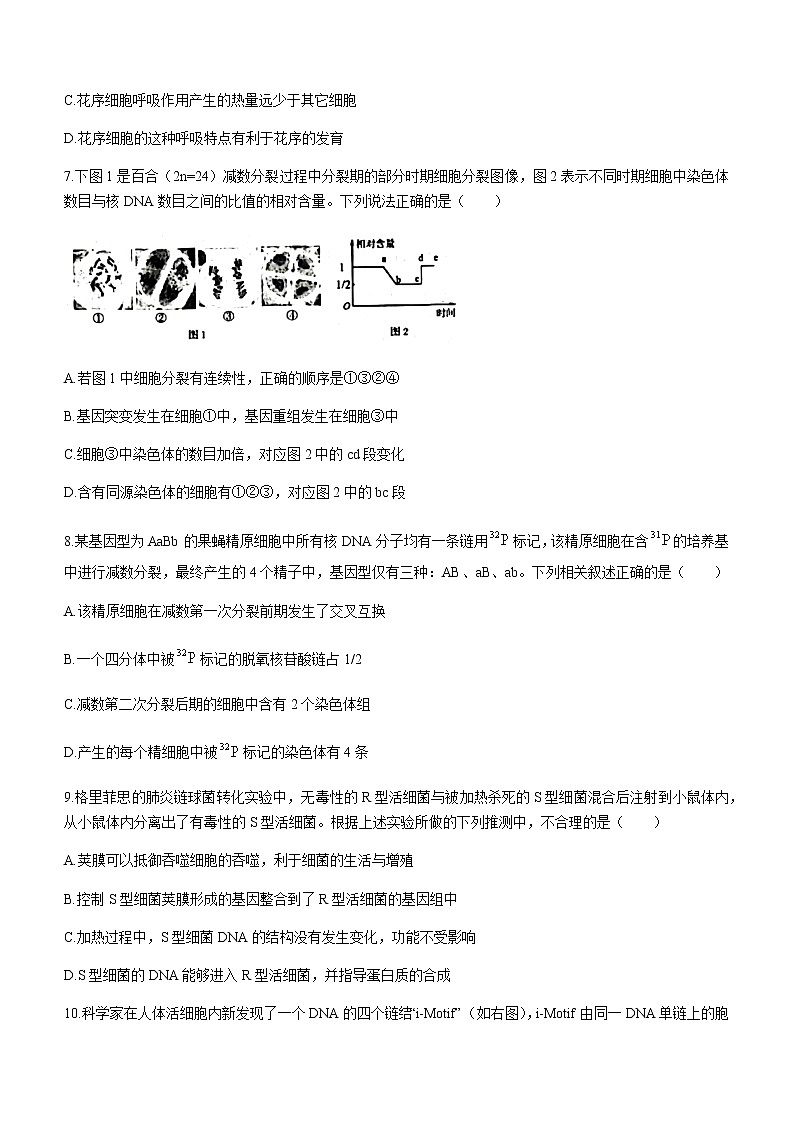 2021日照高一下学期期末校际联合考试生物试题含答案03