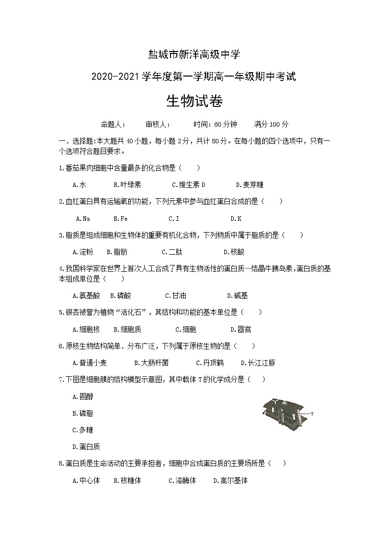 2021盐城实验高级中学（新洋高级中学）高一上学期期中考试生物试题缺答案01