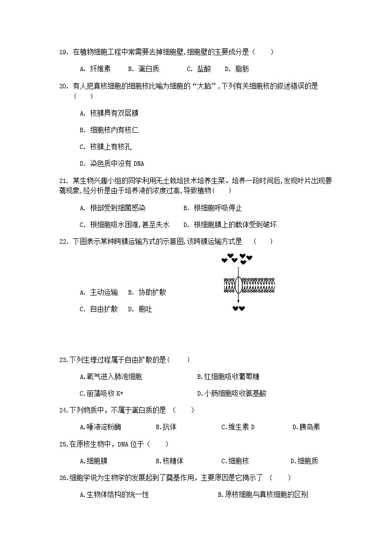 2021盐城实验高级中学（新洋高级中学）高一上学期期中考试生物试题缺答案03