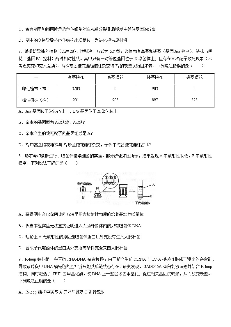 2021滨州高一下学期期末考试生物试题含答案第3页