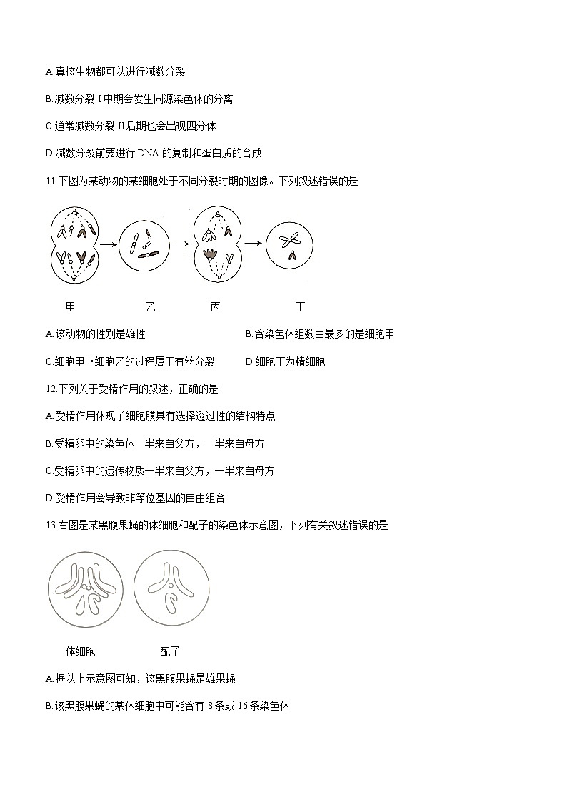 2021白山高一下学期期末考试生物试题含答案第3页