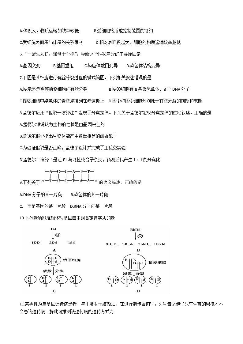 2021内江高一下学期期末检测生物（理）试题含答案第2页