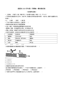 2021宁波慈溪高一下学期期末考试生物试题含答案