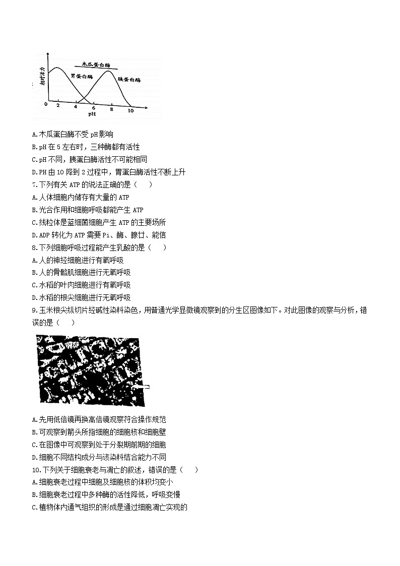 2021宁波慈溪高一下学期期末考试生物试题含答案02