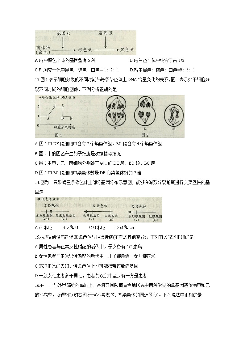 2021吕梁高一下学期期末考试生物含答案03