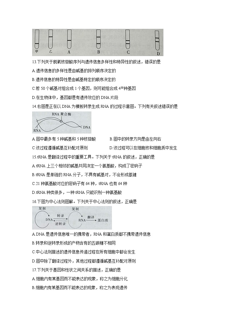 2021临汾高一下学期期末考试生物含答案03