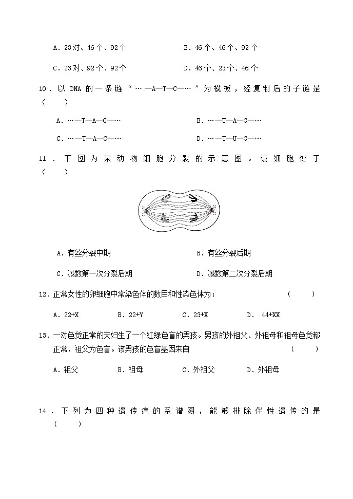 2021北京市延庆区高一下学期期中考试生物试题含答案03